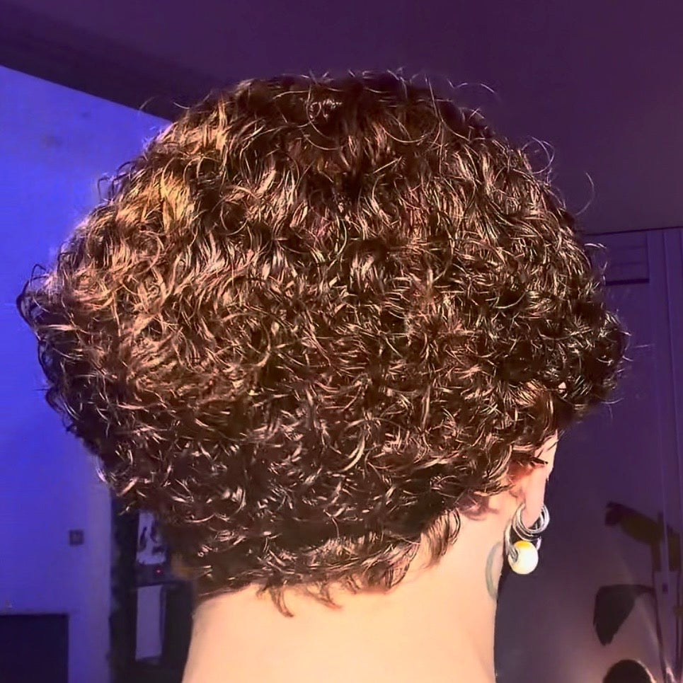 Hot Honey Brown (No Lace Wig) Curly Texture