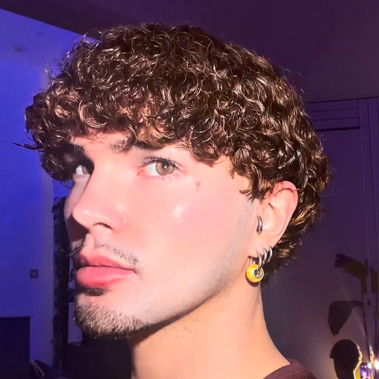Hot Honey Brown (No Lace Wig) Curly Texture