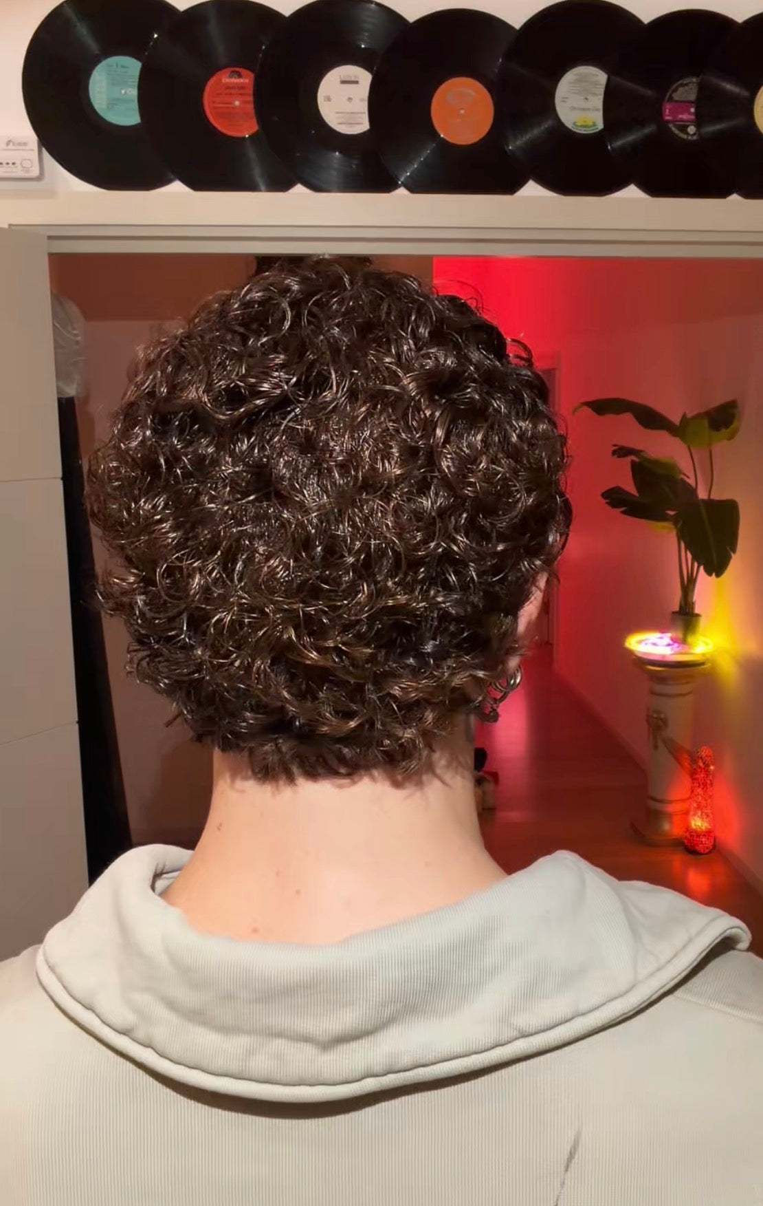 Natural Golden Toned Brown Soft Curly Short Wig (NO LACE)