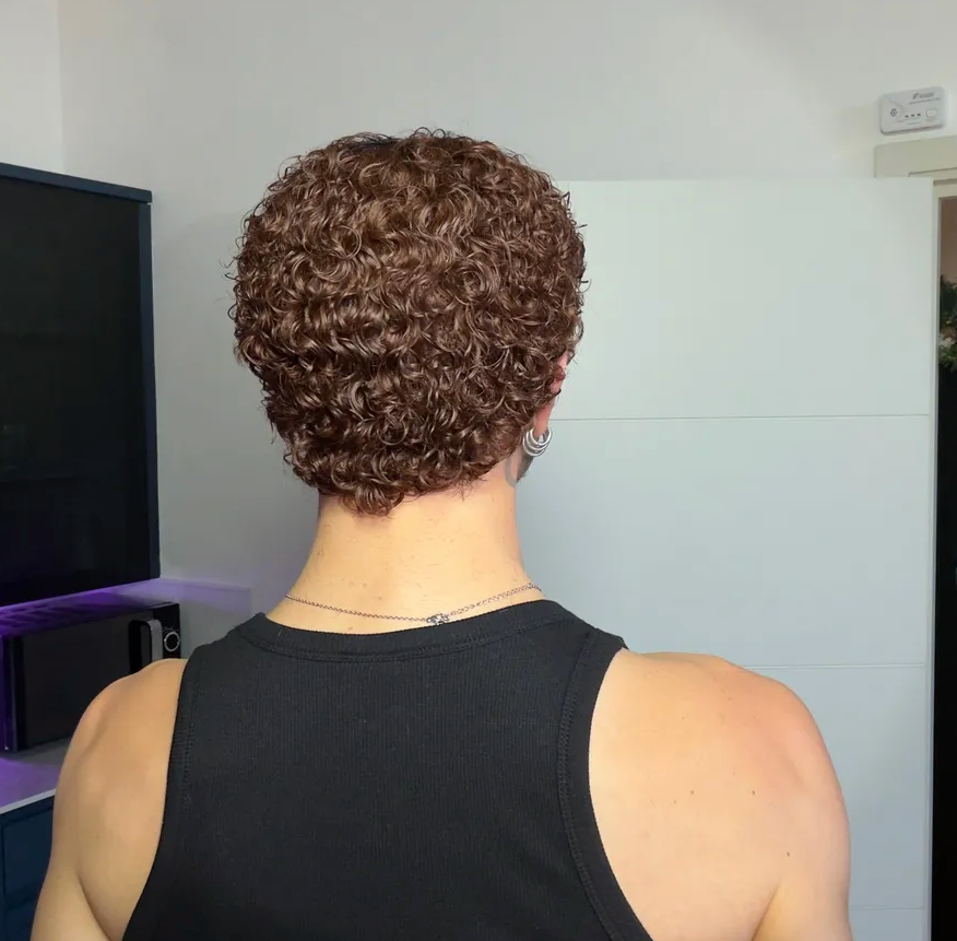 Short Defused Curly “Chestnut” NO LACE WIG