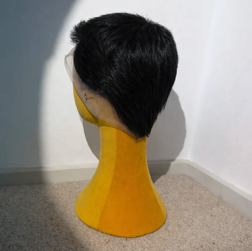 Sleek Black FULL LACE Short Cut Wig